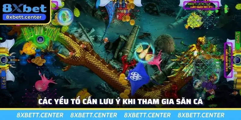 Các yếu tố cần lưu ý khi tham gia săn cá